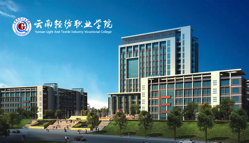 昆明奧遠科技 一站式數字化解決方案，賦能企業(yè)網絡建設與新媒體運營